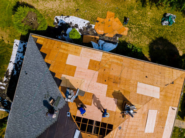 Best Residential Roofing Contractor  in Momence, IL