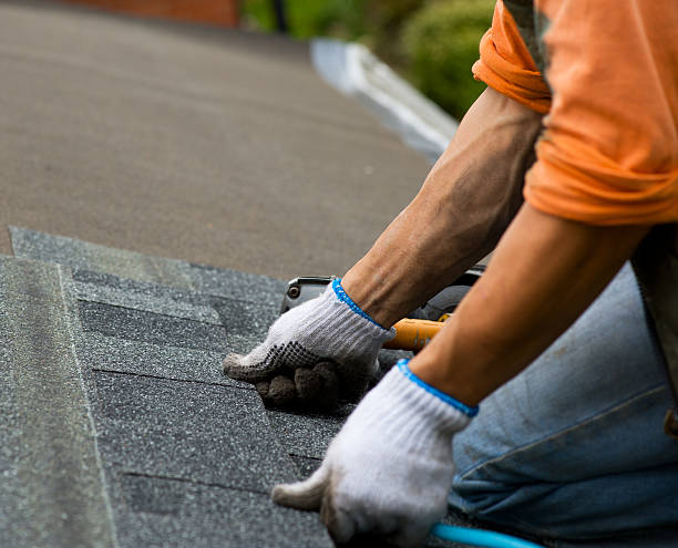 Roof Gutter Cleaning in Momence, IL