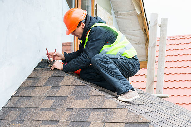 Best Roof Gutter Cleaning  in Momence, IL